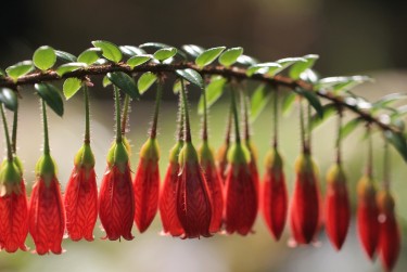 广州荔湾区3私人快速借钱网，轻松解决资金难题