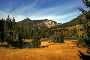 广州荔湾区3民间私贷攻略：揭秘低成本借贷的秘密