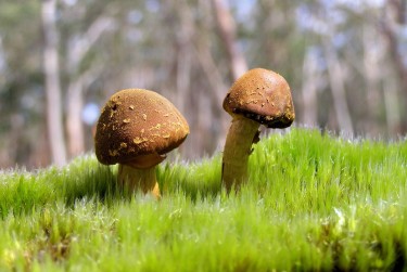 广州荔湾区3私人老板放款：轻松融资的秘密通道